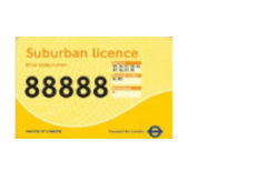 Yellow licence 22